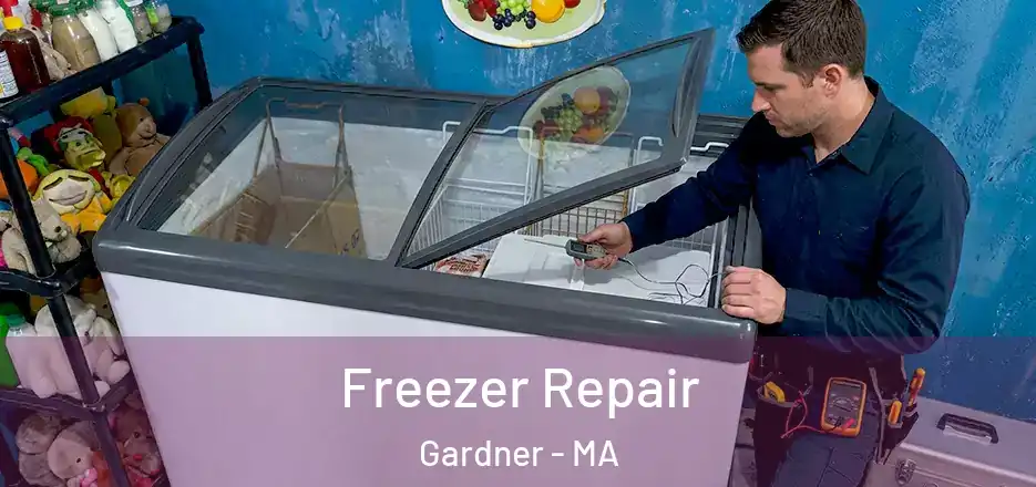 Freezer Repair Gardner - MA