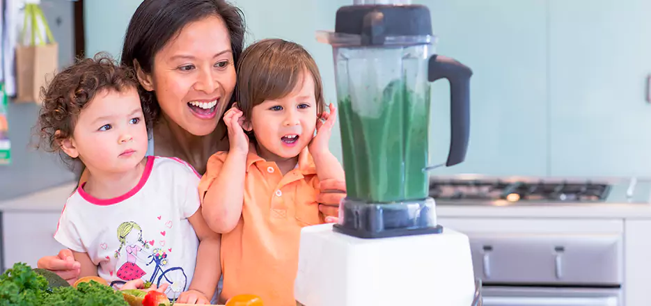Juicer and Mixer Blender Repair in Gardner
