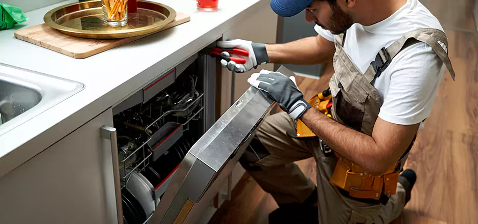 Same Day Dishwasher Not Draining Repair in Gardner