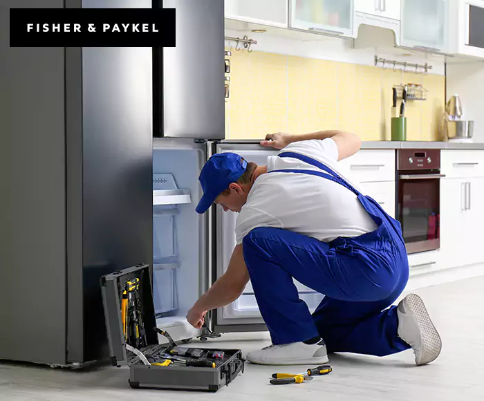 Top-Rated Fisher & Paykel Appliance Experts: Your Brand Specialist in Gardner, MA